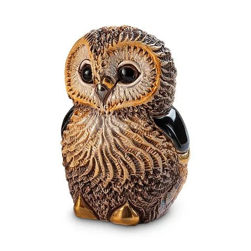 Baby African Cape Owl