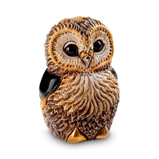 Baby African Cape Owl