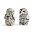 Baby Great White Owl