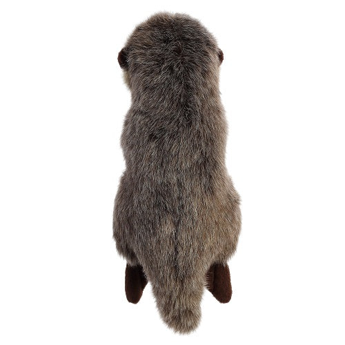 Baby Sea Otter Miyoni