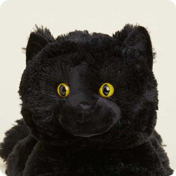 Black Cat Cozy Plush