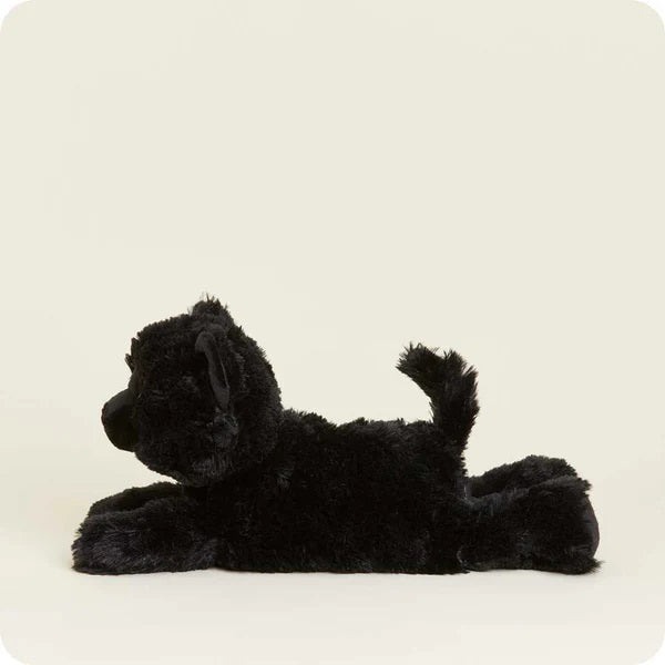 Black Cat Cozy Plush