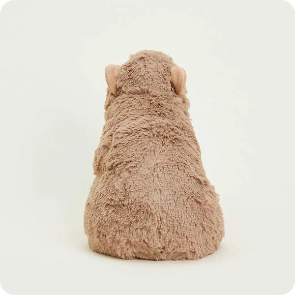 Capybara Cozy Plush