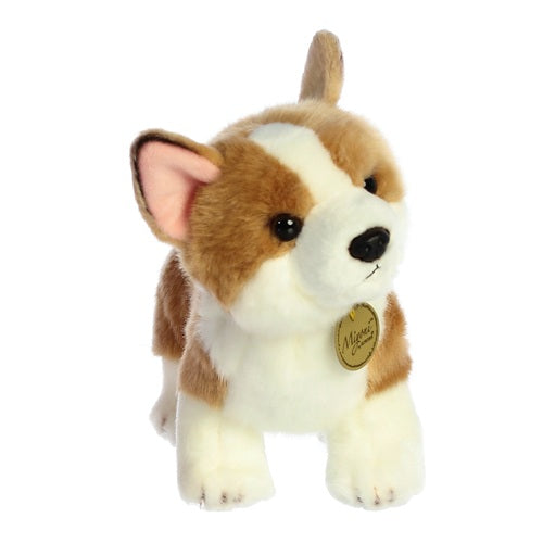 Corgi Miyoni