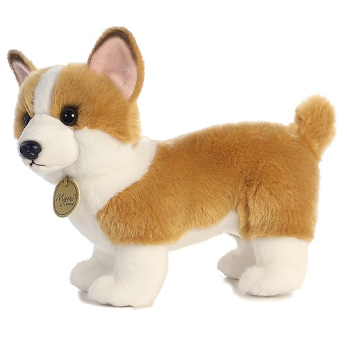 Corgi Miyoni