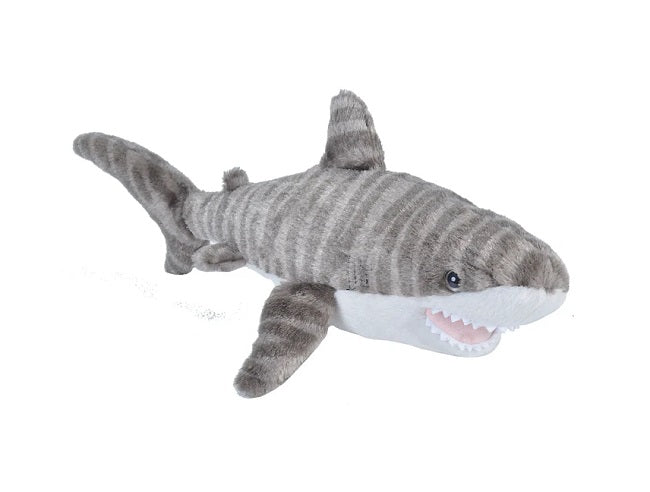 Eco Mini Tiger Shark