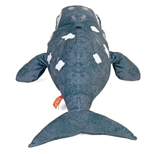 Eco Northern Whale