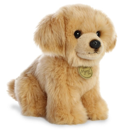 Golden Retriev Pup Miyoni tots