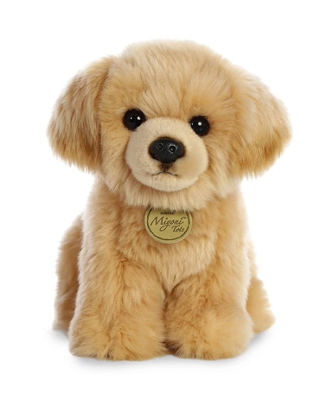 Golden Retriev Pup Miyoni tots