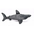 Great White Shark