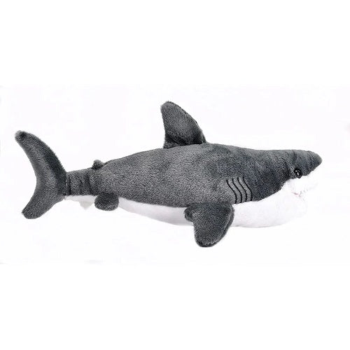 Great White Shark