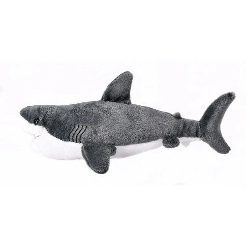 Mini Great White Shark