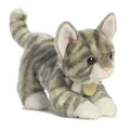 Grey Tabby Kitten Miyoni Tots