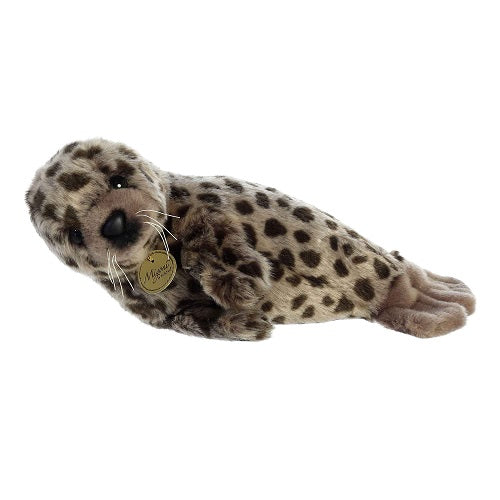 Harbor Seal Miyoni