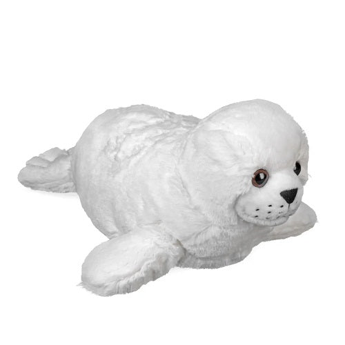 Harp Seal Pup