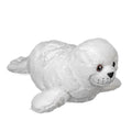Harp Seal Pup