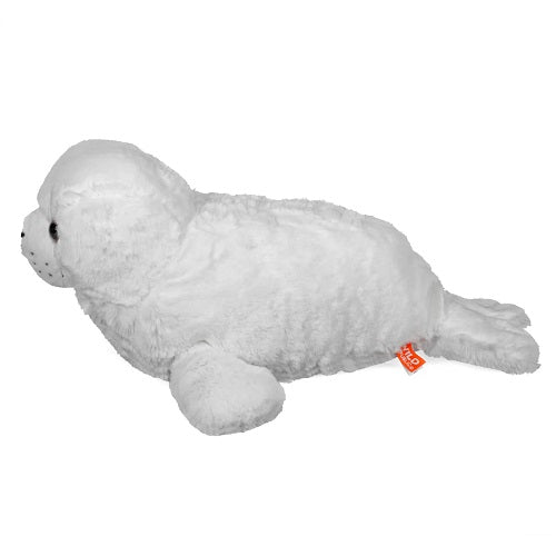 Harp Seal Pup