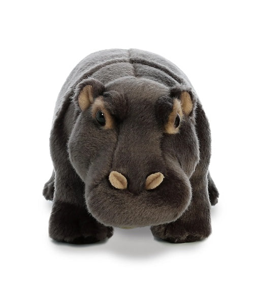 Hippo Miyoni