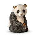 Panda Bear Sitting