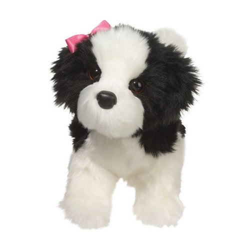 Poofy Black and White Shih Tzu