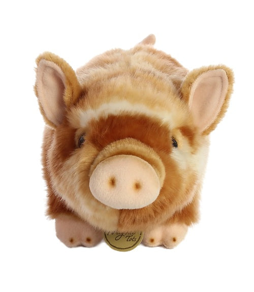 Pot Bellied Piglet Two Color Miyoni