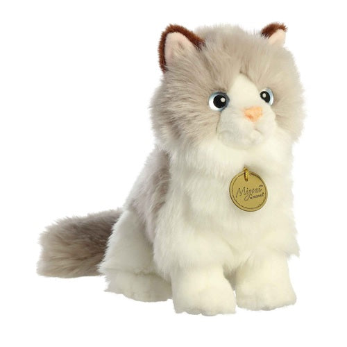 Ragdoll Cat Miyoni