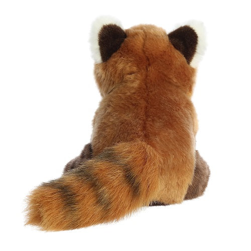 Red Panda Cub Miyoni