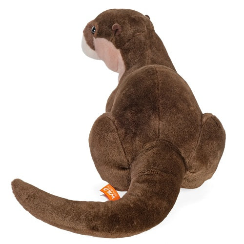 Eco River Otter