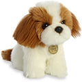 Shih Tzu Pup Miyoni Tots