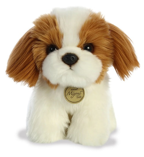 Shih Tzu Pup Miyoni Tots