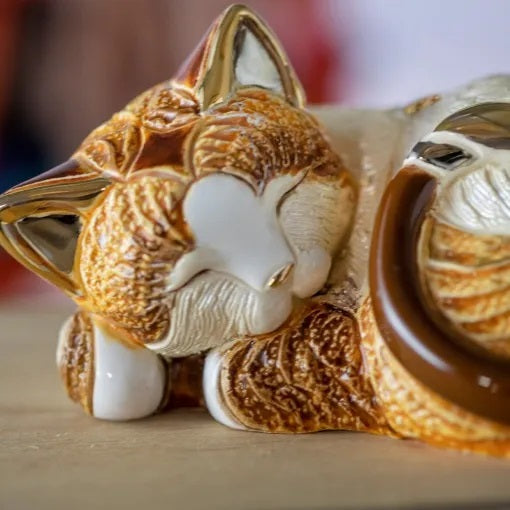 Sleeping Calico Cat