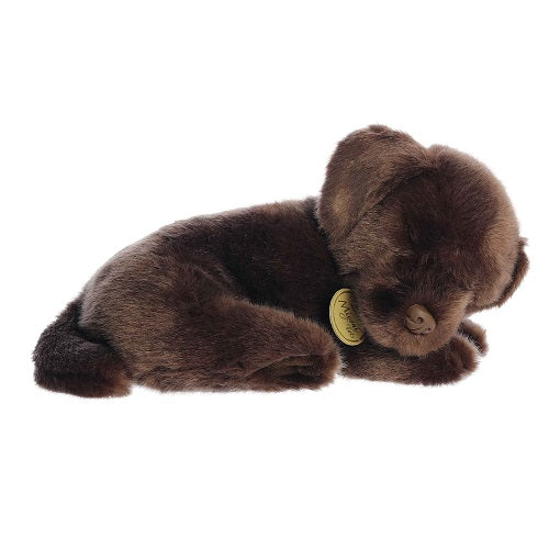 Sleepy Chocolate Lab Pup Miyoni