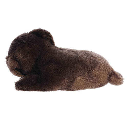 Sleepy Chocolate Lab Pup Miyoni