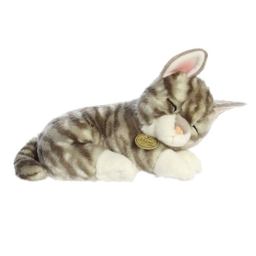 Sleepy Grey Tabby Kitten Miyoni