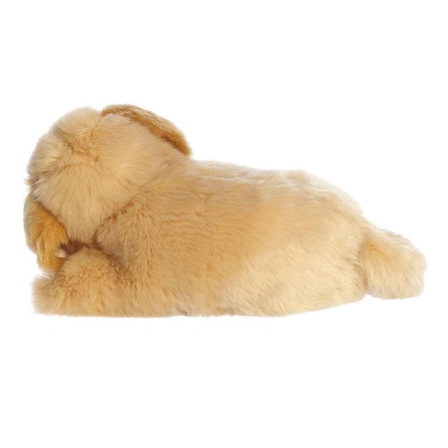 Sleepy Golden Retriever Pup Miyoni