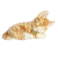 Sleepy Orange Tabby Kitten Miyoni