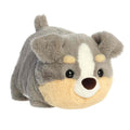 Spudster Storm Australian Shepherd