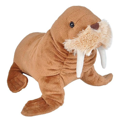 Mini Walrus