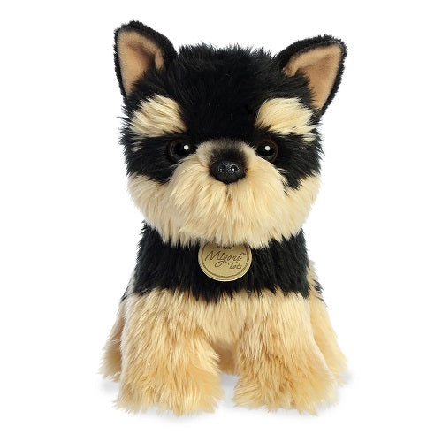 Yorkie Pup Miyoni
